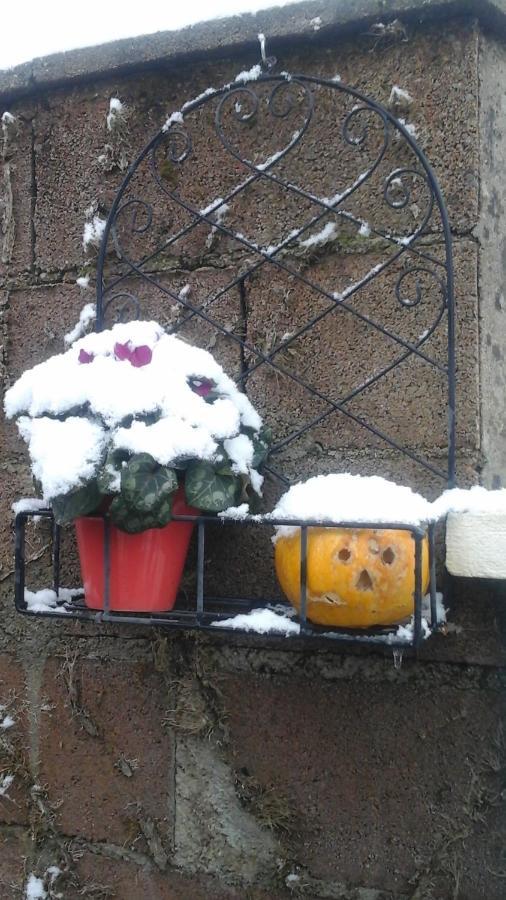 La Maison Des Fleurs Montembœuf Exteriér fotografie