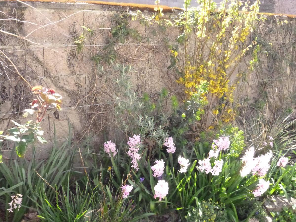 La Maison Des Fleurs Montembœuf Exteriér fotografie
